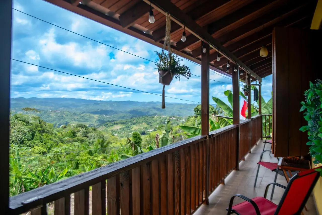Casa De Campo Vista Hermosa Lares Puerto Rico
