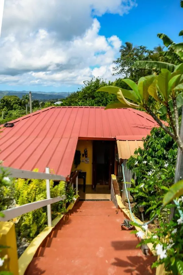 Casa De Campo Vista Hermosa Lares Puerto Rico